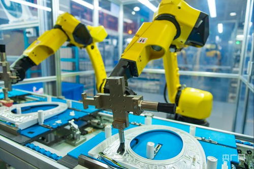 民營經(jīng)濟(jì)新觀察 優(yōu)環(huán)境 壯主體 強技術(shù) 福建民營企業(yè)以實干擔(dān)當(dāng)聚勢謀進(jìn)