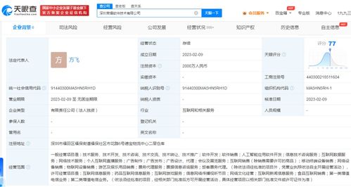 榮耀手機成立軟件公司，進軍互聯網游戲與信息服務
